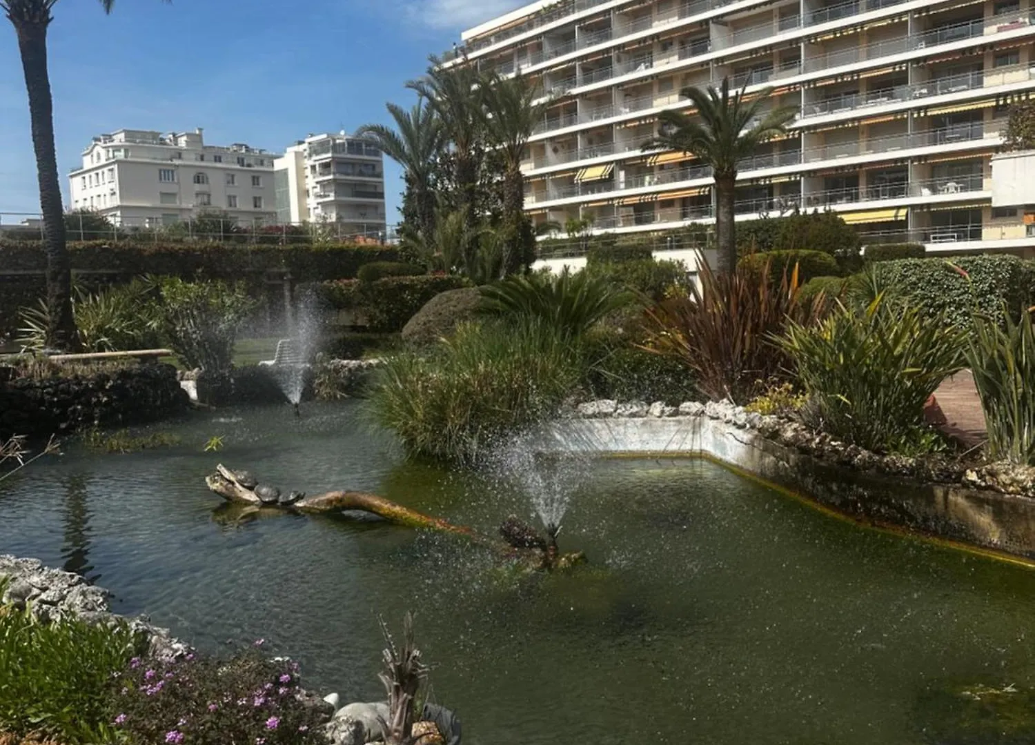 Studio Alexandre 3 Croisette Cannes 0*,
